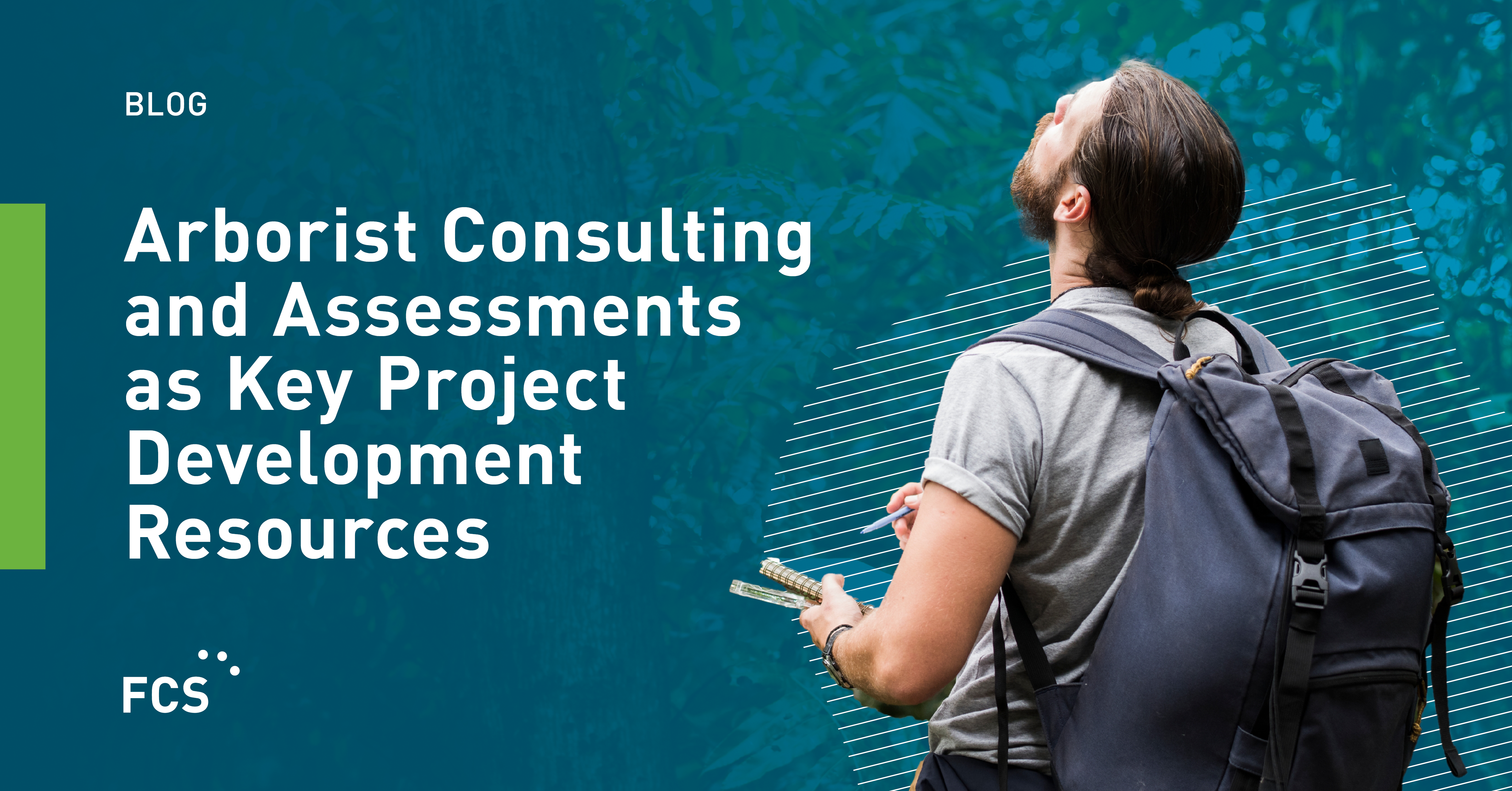Arborist Consulting and Assessments as Key Project Development Resources image
