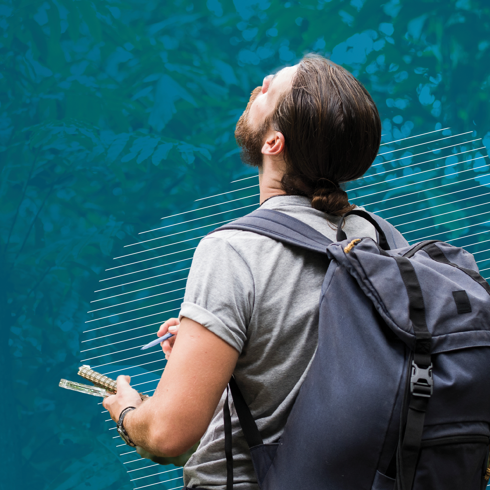 Arborist Consulting and Assessments as Key Project Development Resources thumbnail