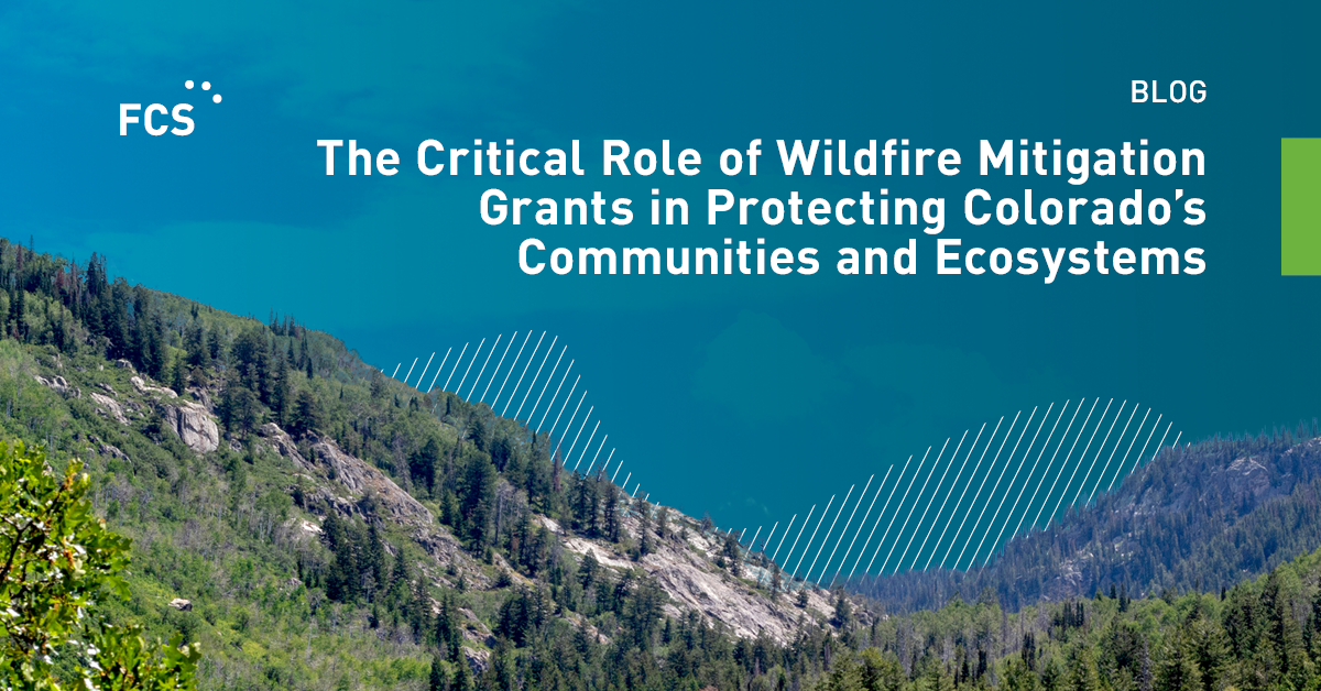 The Critical Role of Wildfire Mitigation Grants in Protecting Colorado’s Communities and Ecosystems image
