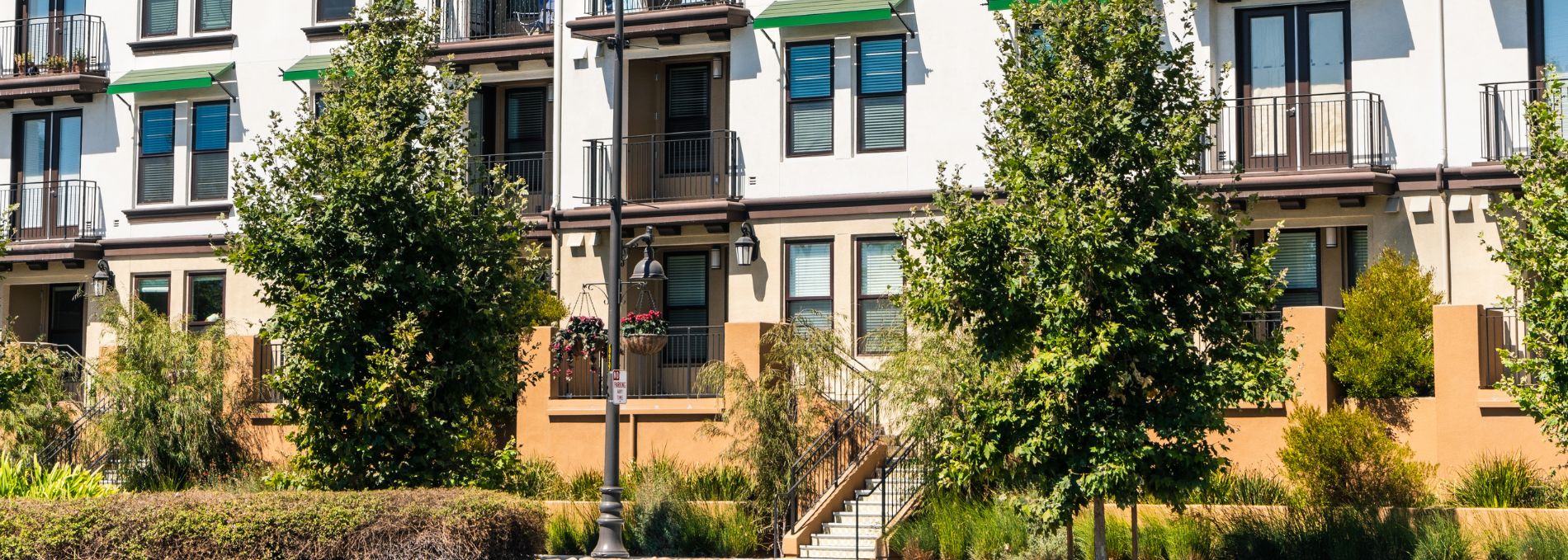 Affordable Housing Apartment Project Arborist Report image