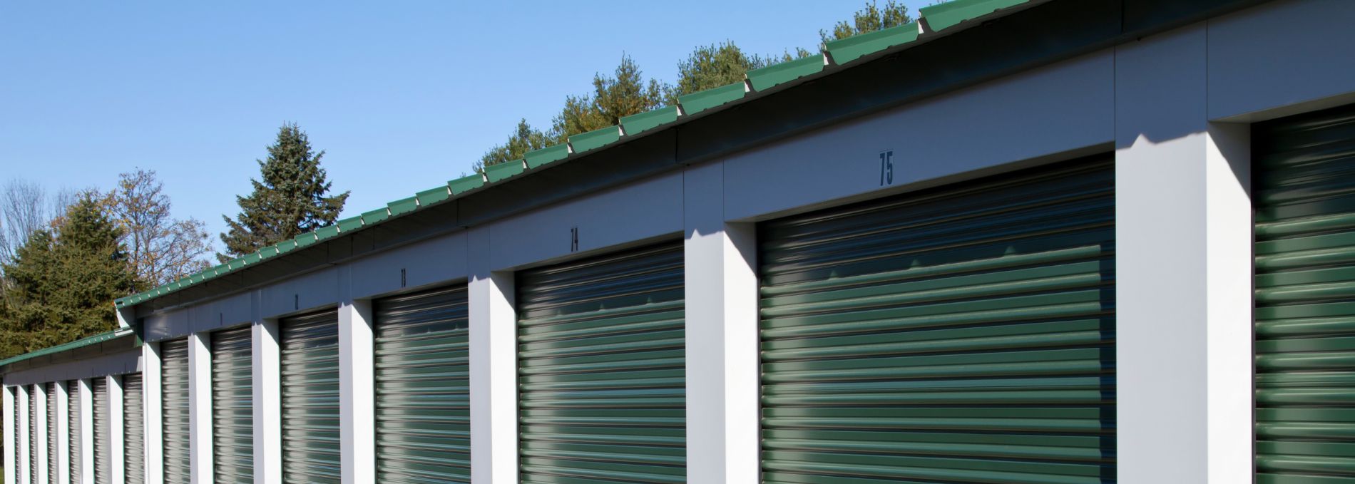 Self-Storage Facility Infectious Tree Disease Management Plan image