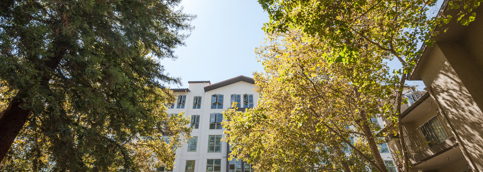 Arborist Report for Multifamily Housing Project image