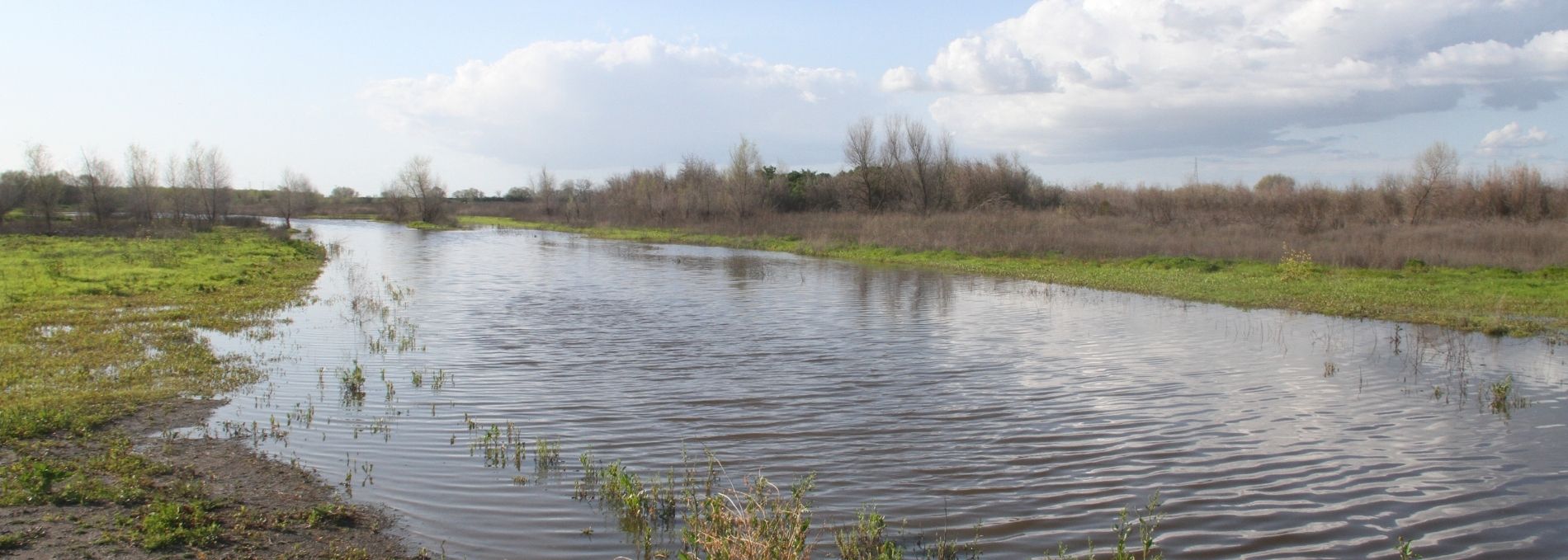 Stanislaus County Creek Maintenance Project image